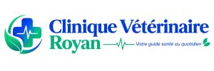 Clinique Vétérinaire Royan - Votre guide santé au quotidien